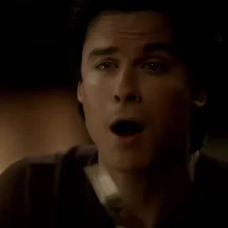 Video sticker 😉 @Turtle_Pure