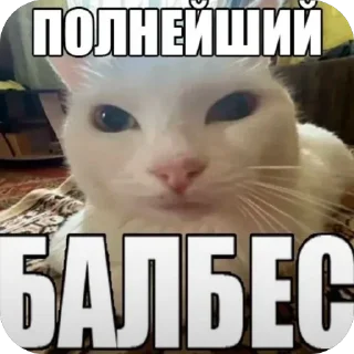 Telegram sticker 🫥 Рофлс