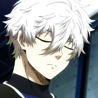 Video sticker 🐻‍❄️ Наги @blue_lock_blue_prison :: @fStikBot