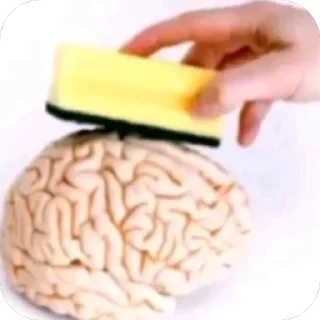 Telegram sticker 🧠 предложение/новости: @chipsyruNew