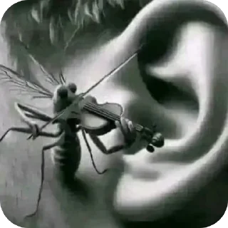 Sticker 🙉 предложение/новости: @chipsyruNew