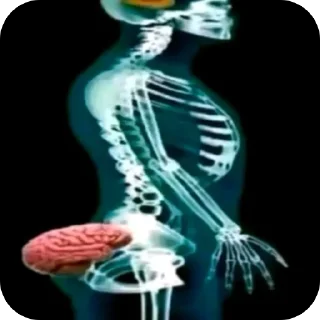 Telegram sticker 🧠 предложение/новости: @chipsyruNew