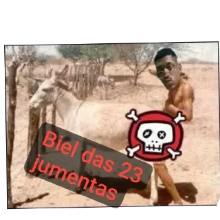 Telegram stiker 👥 Estudador baiano, estuda dormidas🤫