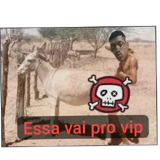 Telegram stiker 👥 Estudador baiano, estuda dormidas🤫