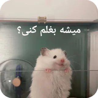 Telegram sticker 👍 Dalam