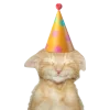 Sticker 🤩 happy birthday ➜ @emoji1