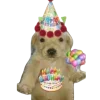 Sticker 🤩 happy birthday ➜ @emoji1