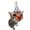 Sticker 🤩 happy birthday ➜ @emoji1