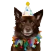 Sticker 🤩 happy birthday ➜ @emoji1