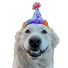 Sticker 🤩 happy birthday ➜ @emoji1