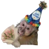 Sticker 🤩 happy birthday ➜ @emoji1