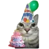 Video sticker 🤩 happy birthday ➜...