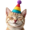 Video sticker 🤩 happy birthday ➜...