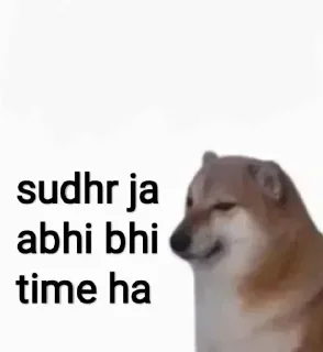 Telegram stiker 🙂 ❥ 🇮🇳 ＤᎥᎮᏖᎥ 𓆩🖤𓆪̥™s kang pack