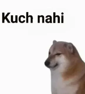 Telegram stiker 🪄 ❥ 🇮🇳 ＤᎥᎮᏖᎥ 𓆩🖤𓆪̥™s kang pack