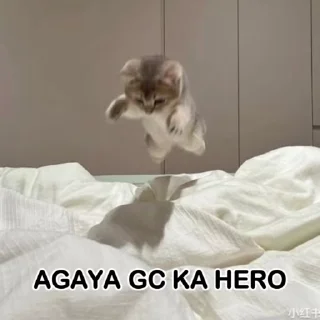 Video sticker 👋 Billa 😻 @Tks_Gc @Love_pfp ✨ :: @fStikBot