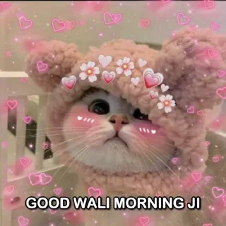 Video sticker 🌤 Billa 😻 @Tks_Gc @Love_pfp ✨ :: @fStikBot