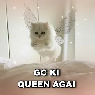 Video sticker 👋 Billa 😻 @Tks_Gc @Love_pfp ✨ :: @fStikBot