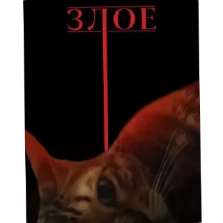 Video sticker 🐱 Марсек @TgEmodziBot