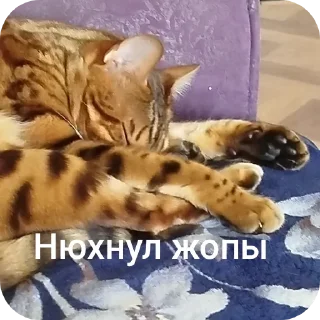 Telegram sticker 😀 Марсек @TgEmodziBot