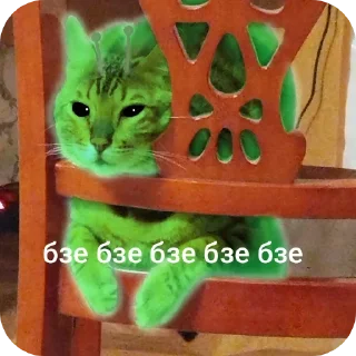 Video sticker 🐱 Марсек @TgEmodziBot