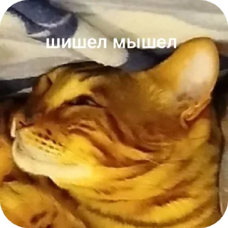 Telegram sticker 🐶 Марсек @TgEmodziBot