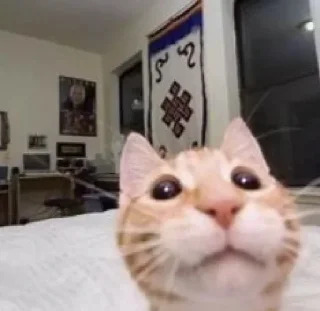 Telegram sticker 😅 بعبوعي٥ @ilerl