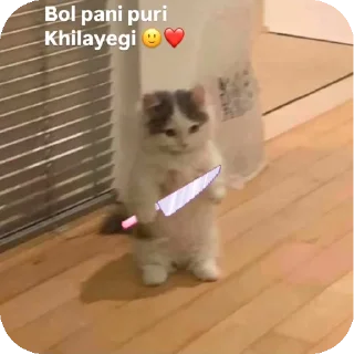 Telegram sticker 👍 @Cool 😎