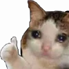 Video sticker 😢 @kuplyuhochu
