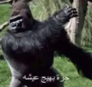 Sticker 😔 ㅤㅤㅤㅤㅤㅤㅤㅤㅤㅤ