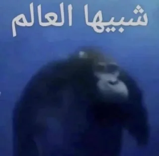 Telegram sticker 🤨 ㅤㅤㅤㅤㅤㅤㅤㅤㅤㅤ