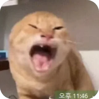 Video sticker 🫥 Uhzzuggumi