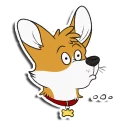 Video sticker 😳 Dan