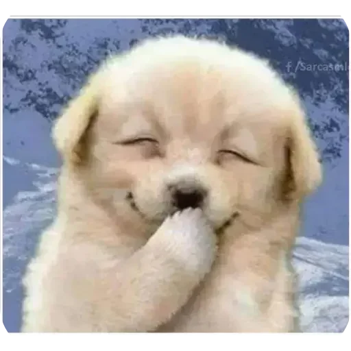 Telegram sticker 🤭 Yash beniwal