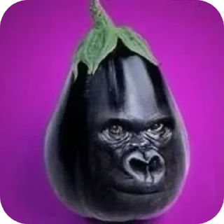 Video sticker 👍 Каки 2