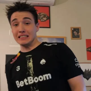 Video sticker ☠️ TSpirit ✦ @spllushka