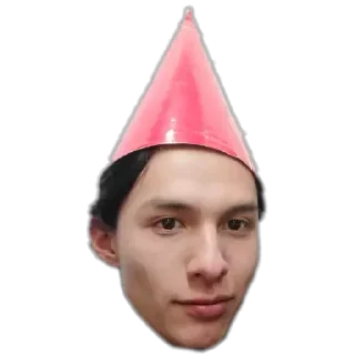 Телеграм стикер 🐓 PerroBerto