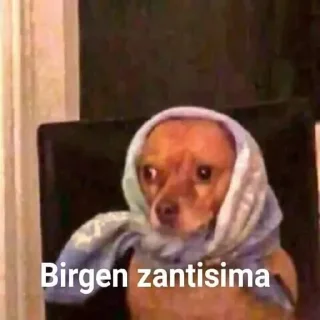 Телеграм стикер 😳 PerroBerto