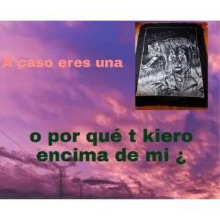 Телеграм стикер 🥵 PerroBerto