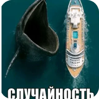 Video sticker 👟 На все случаи жизни @kalmichka67