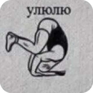 Telegram sticker 🐦 На все случаи жизни @kalmichka67