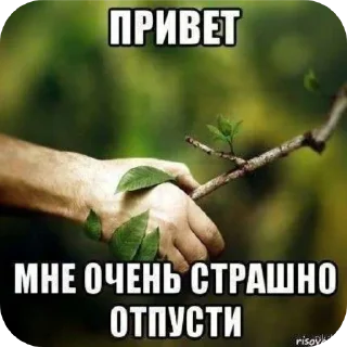 Video sticker 🖼 На все случаи жизни @kalmichka67