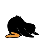 Telegram sticker 🙏 Black Duck @IMG2D