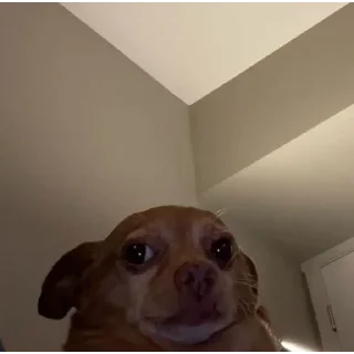 Telegram sticker ❤ مال منه دست نزن