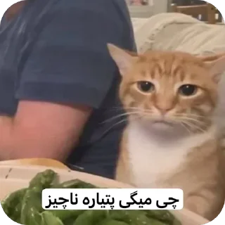 Telegram sticker 🫥 مال منه دست نزن