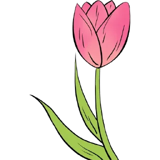 Video sticker 🌷 Tulips @PunjabiSticker