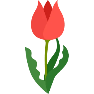 Telegram sticker 🌷 Tulips @PunjabiSticker