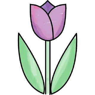 Sticker 🌷 Tulips @PunjabiSticker