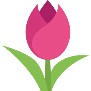 Telegram sticker 🌷 Tulips @PunjabiSticker