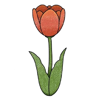 Telegram sticker 🌷 Tulips @PunjabiSticker